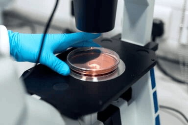 Eye Care Lab